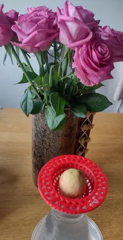 Avocado pit houder, avocado pit holder.
