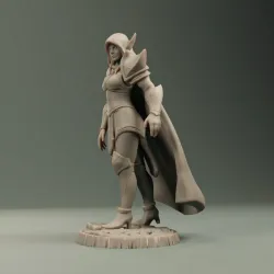 Dark elf heroe