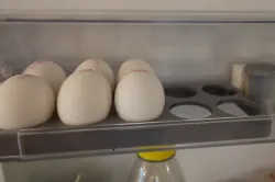 Egg Tray