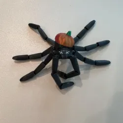 Flexi Pumpkin Widow Spider (Print in Place)