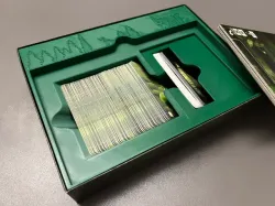 Forest Shuffle (Mischwald) Insert