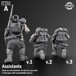 Heavy Weapons Team. Warden Regiment. Imperial Guard. Compatibility class A.