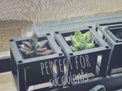 Hypercube Planter