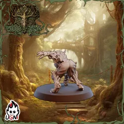 Linewomen #08 - Wood Elf Team