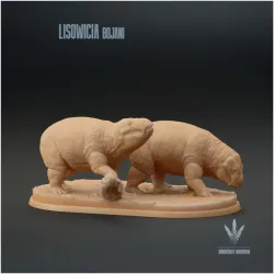 Lisowicia bojani : Feeding