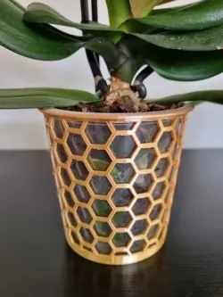 Orchid Basket for plastic pot