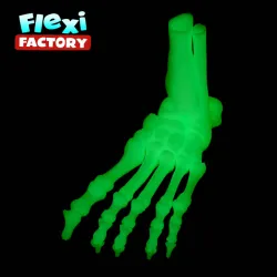 Public Release: Flexi Factory Skeleton Foot