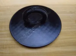 Sink Plug