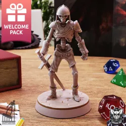 Skeleton Light Armored - A