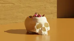 Skull Bowl - Halloween (Decoration)