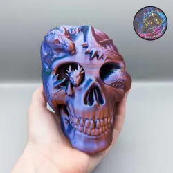 Skull Dragon, Dragon and Skull