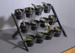 Small planter rack