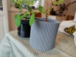 Vasemode planter