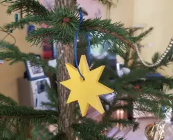 Weihnachtsstern (christmas star)