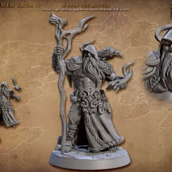 Wodan the Allseer (Skutagaard Northmen Saga II)