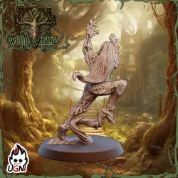 x2 Catcher #01 - Wood Elf Team