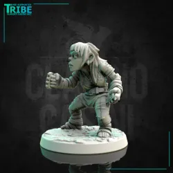 (0170) Female halfling hobbit monk with a brass knuckles
