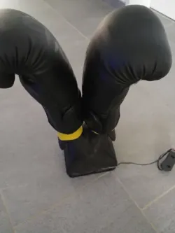 Boxing Glove Ventilation System