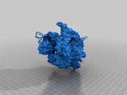 Cas9 target DNA guide RNA complex