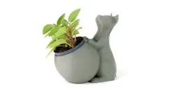 Cat Pot Collection