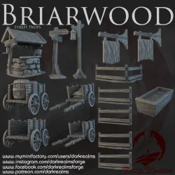 Dark Realms - Briarwood - Streets & Street Props