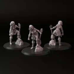 Elves Adventurers
