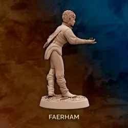Faerham - Elf Rouge Vampire