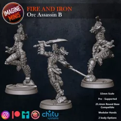 Fire and Iron - Orc Assassin B