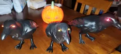 Halloween Crow Full Body