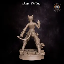 Monk Tiefling