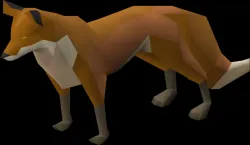 OSRS - Pet Fox