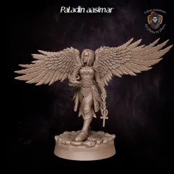 Paladin Aasimar