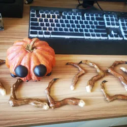PUMPKIN SPIDER -HALLOWEEN PUMPKIN-PUMPKIN MONSTER