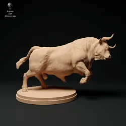 Red Devon Bull Charging