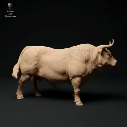 Red Devon Bull