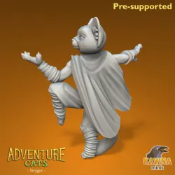 Strygur Monk Cat - Male