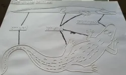 Tactile image: alligator