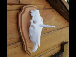 Unicorn hunting trophy