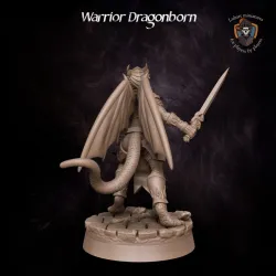 Warrior Dragonborn