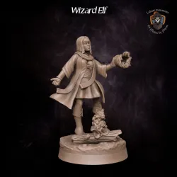Wizard Elf