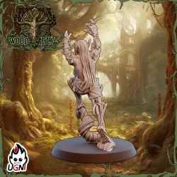 x2 Catcher #03 - Wood Elf Team