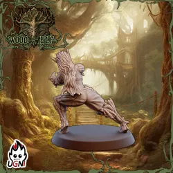 x2 Catcher #04 - Wood Elf Team