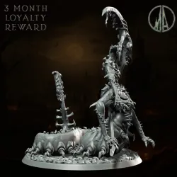 Asmodea