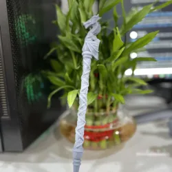 Dragon Wand