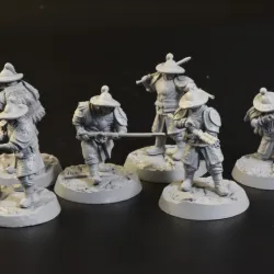 Finch and Dragon - Huating Battalion Musketeers