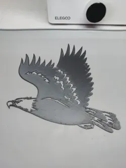 Fling Bald Eagle