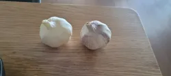 Garlic Scan