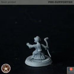 Gnome Mage Female Three Models