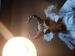 Goat Skull Mask