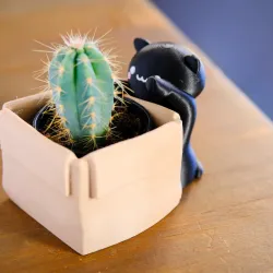 Kawaii Cat with a Planter Box